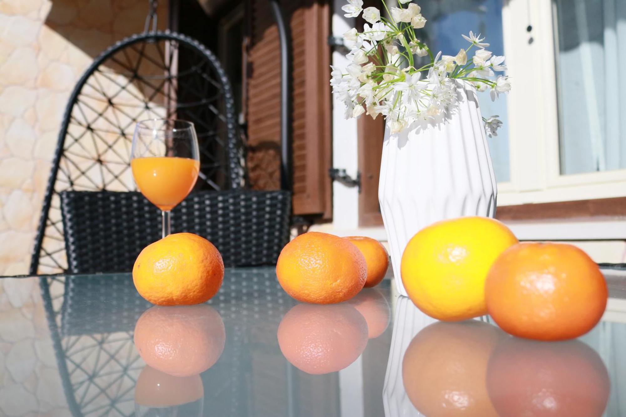Appartements Clementina Premantura Ngoại thất bức ảnh